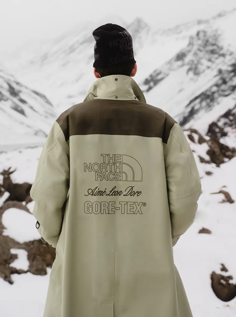 THE NORTH FACE × Aimé Leon Dore ルック 06