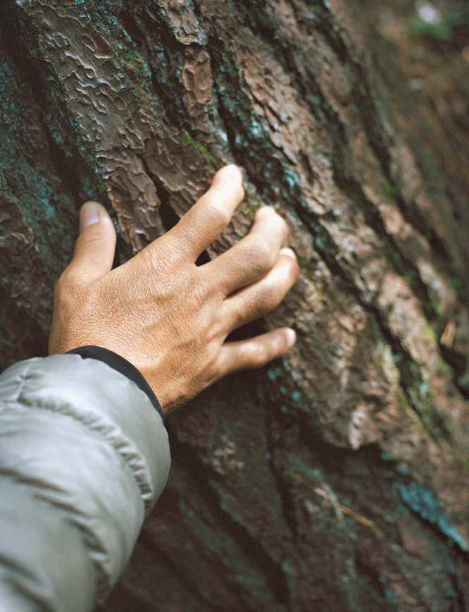 Hiromi Ikedaのライフスタイル写真4