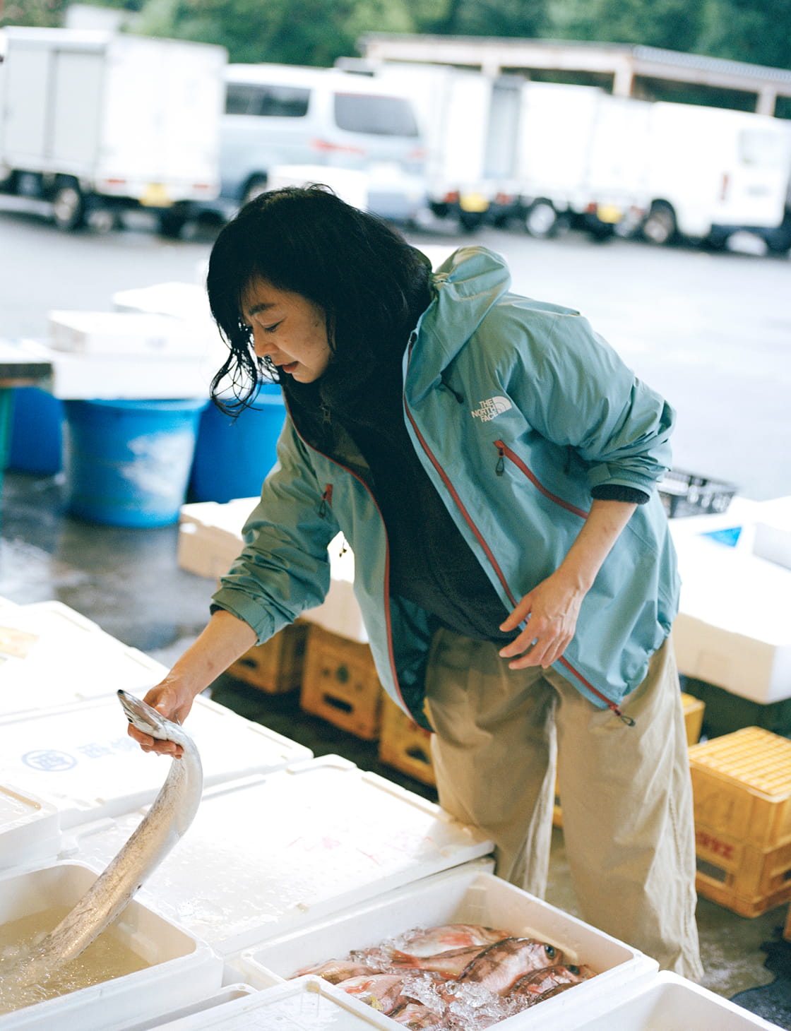 Hiromi Ikedaのポートレート写真2