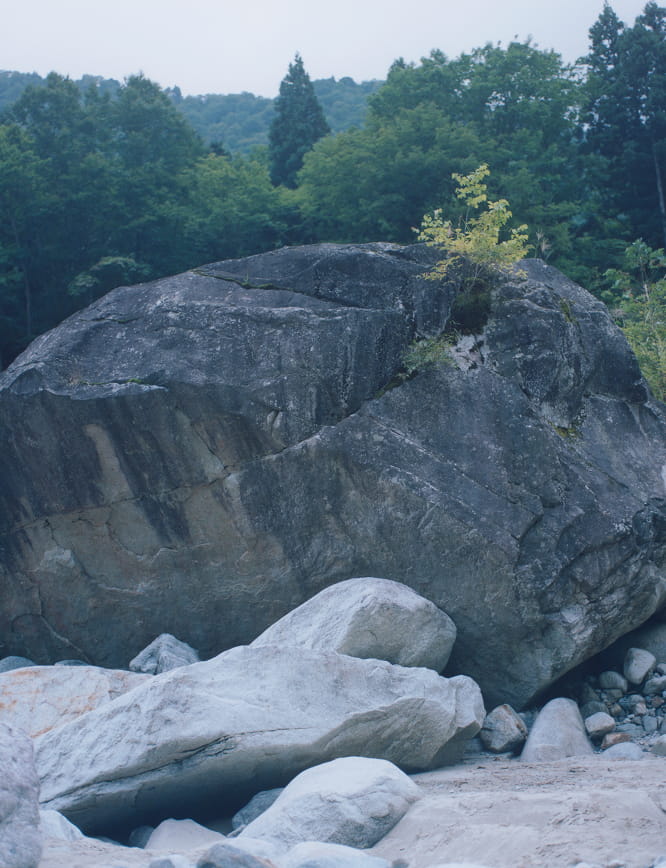 Toru Nakajimaのライフスタイル写真1