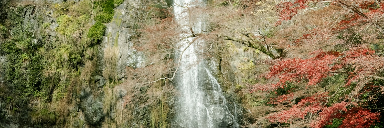 東海自然歩道ルートガイド#04