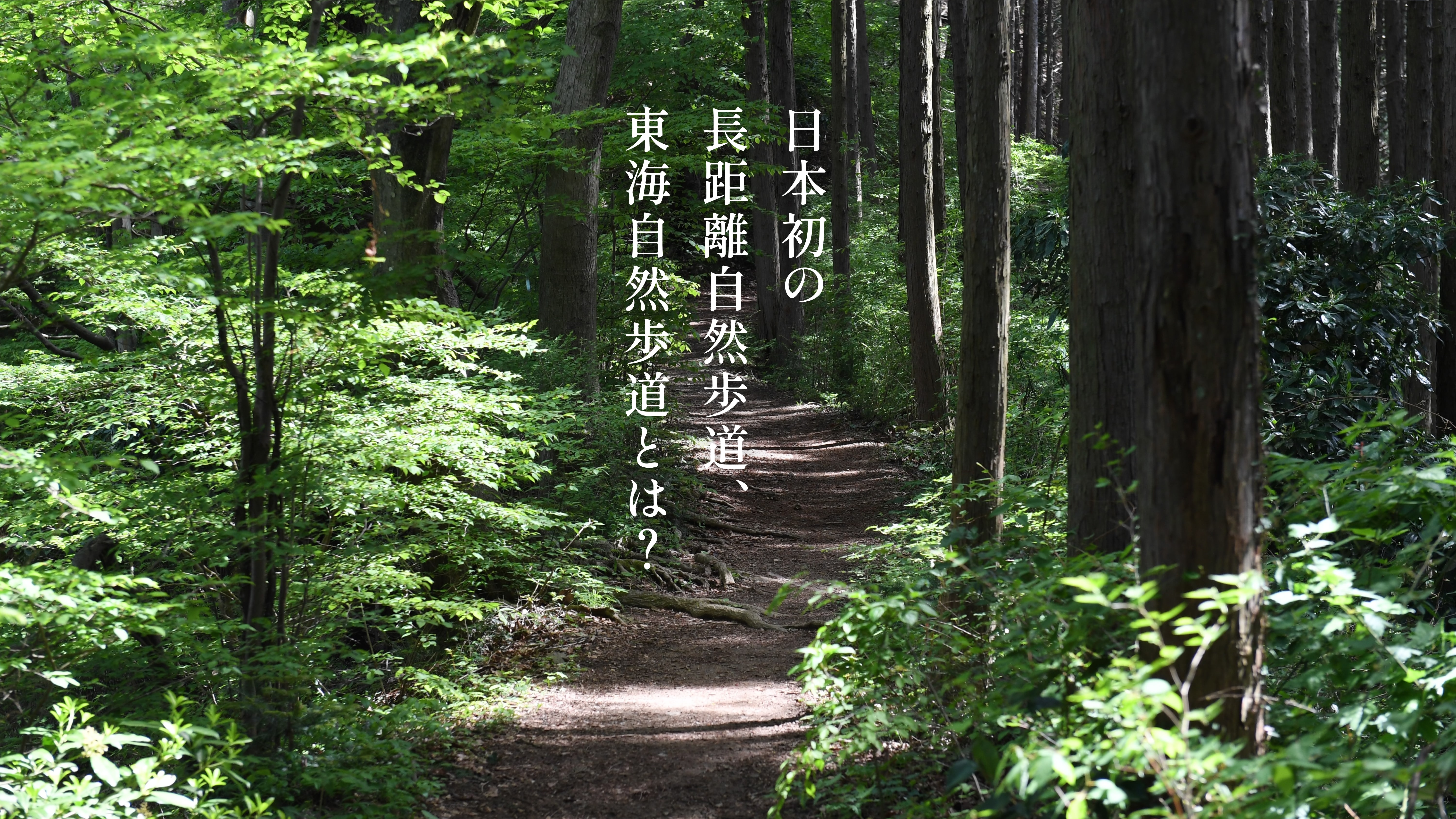 日本初の長距離自然歩道、東海自然歩道とは?