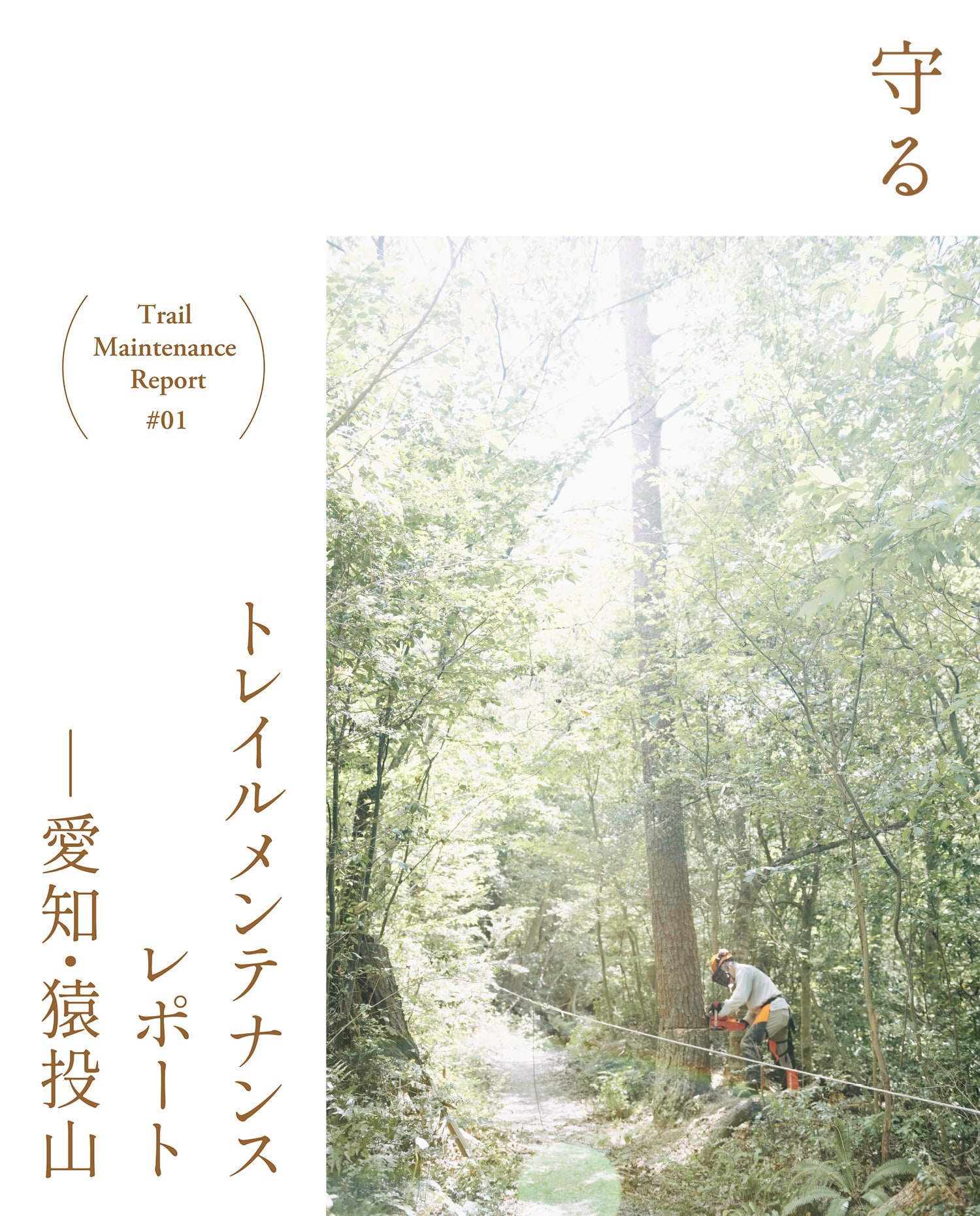 トレイルメンテナンスレポート