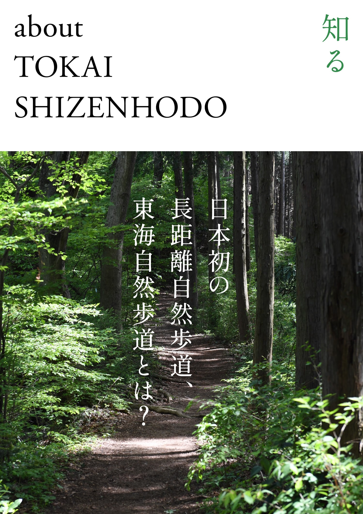 日本初の長距離自然歩道、東海自然歩道とは?