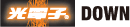 光電子®ダウン