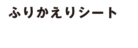 Report Sheet