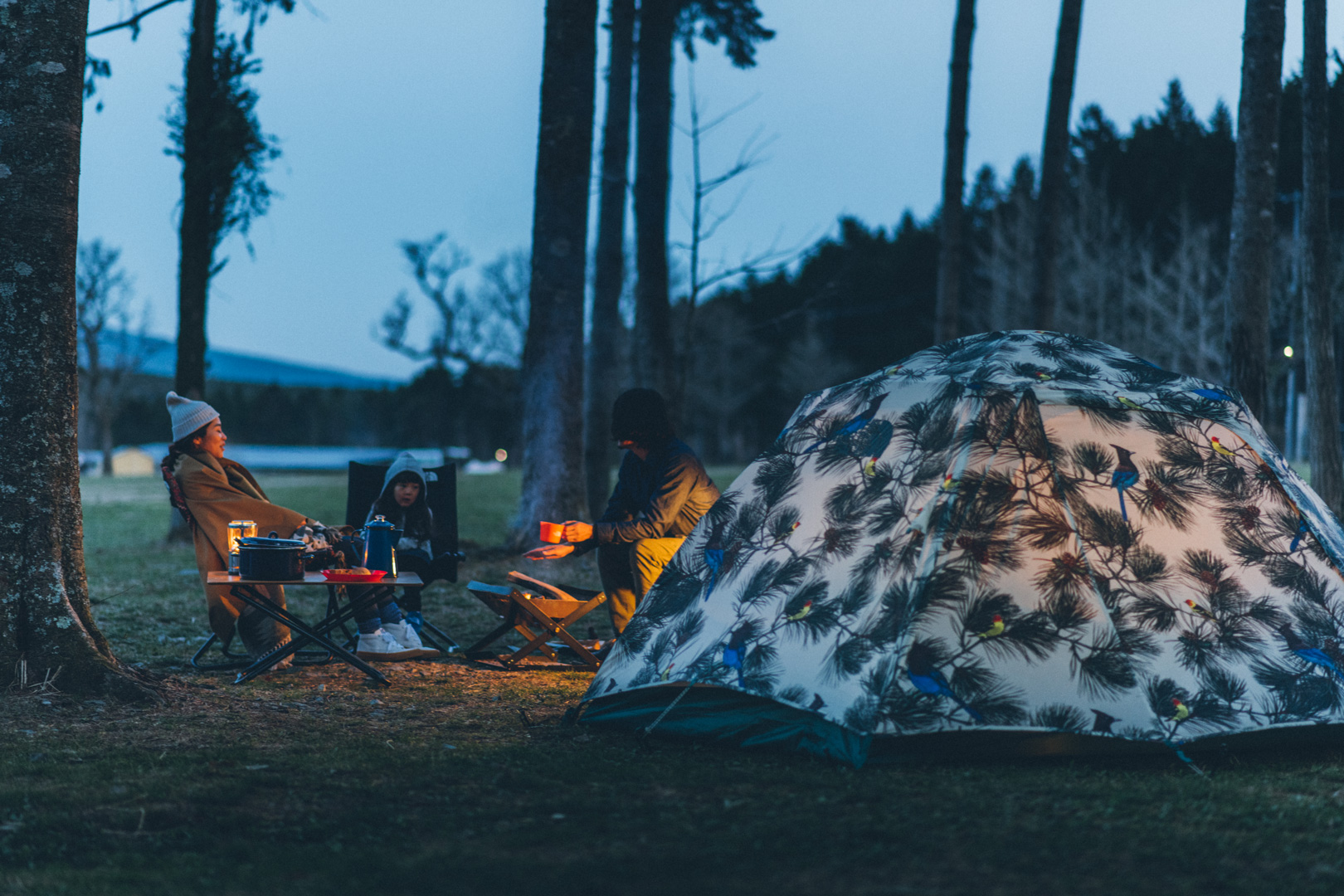 ランデブー長男専用　ノースフェイス   ホームステッド

ヨセミテソファプリント Designed for the wild. | THE NORTH FACE