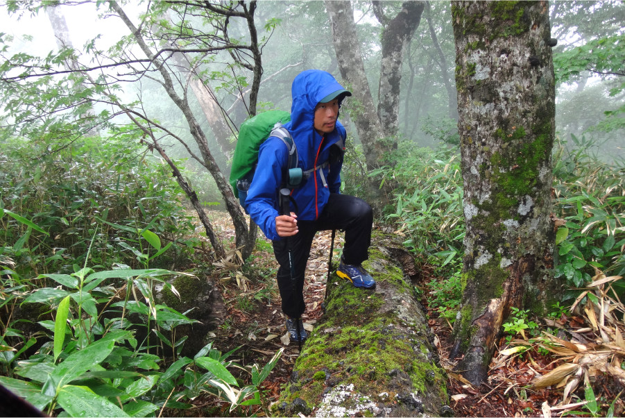 THE NORTH FACE トレッキングシューズ　スニーカー GORE-TEX 楽天市場】ノースフェイス ゴアテックス（ブランドザ・ノース