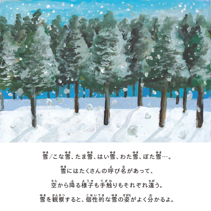 雪/こな雪、たま雪、はい雪、わた雪、ぼた雪…。雪にはたくさんの呼び名があって、空から降る様子も手触りもそれぞれ違う。雪を観察すると、個性的な雪の姿がよく分かるよ。