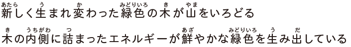 新しく生まれ変わった緑色の木が山をいろどる木の内側に詰まったエネルギーが鮮やかな緑色を生み出している