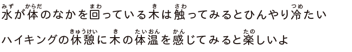水が体のなかを回っている木は触ってみるとひんやり冷たいハイキングの休憩に木の体温を感じてみると楽しいよ