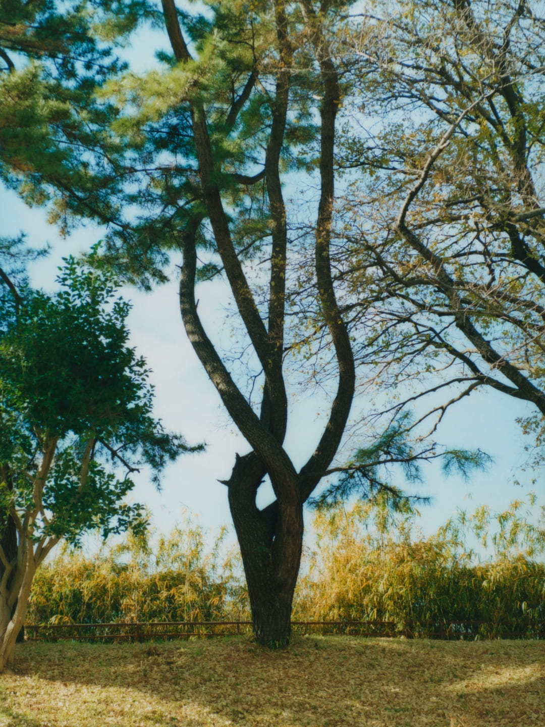 story-slide02