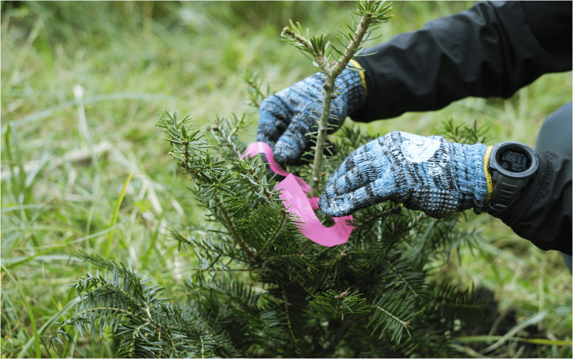 One Product One Tree Campaign 2022