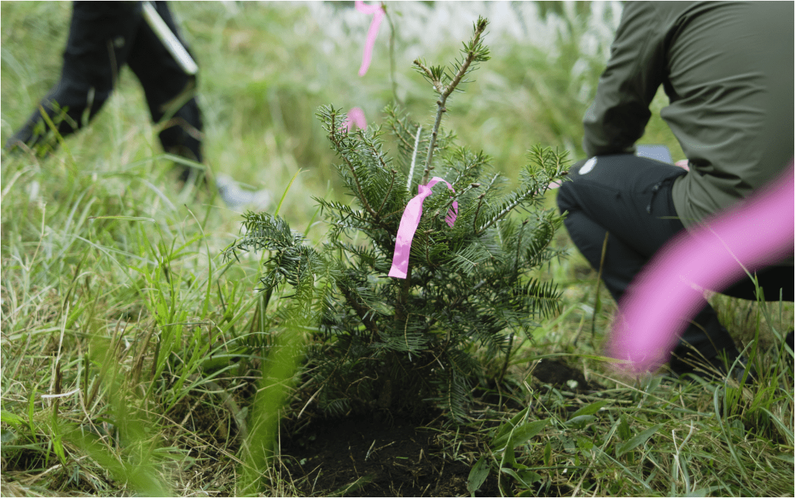 One Product One Tree Campaign 2022