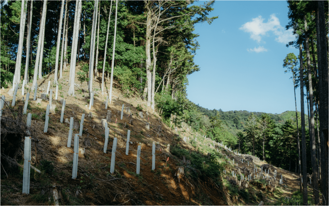 One Product One Tree Campaign 2023