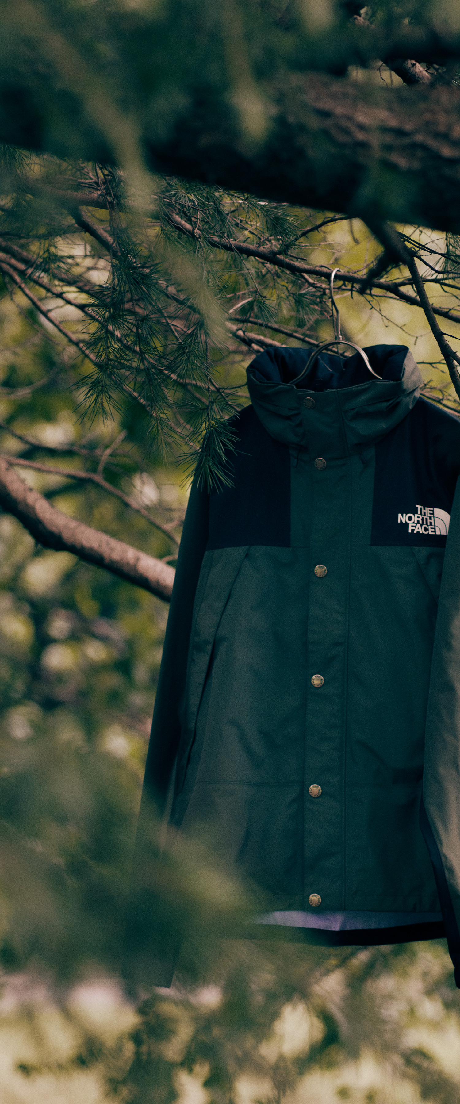 シンプルで機能性に優れたレインウエア特集 | 2020年秋冬 | THE NORTH FACE