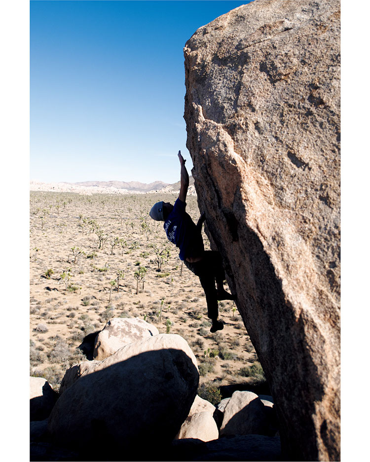 CLIMB ON JOSHUA TREE
