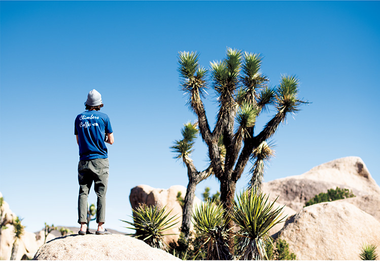 CLIMB ON JOSHUA TREE