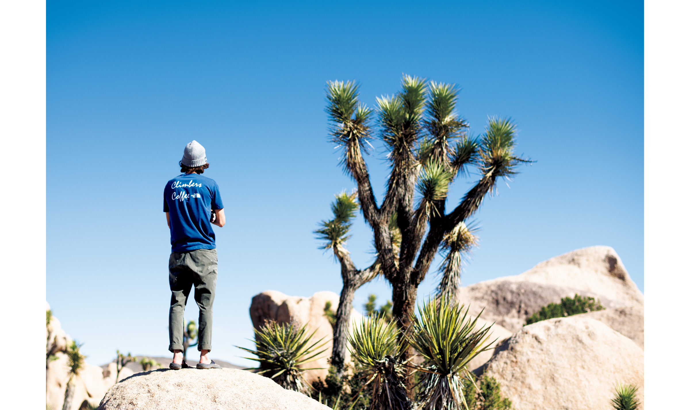 CLIMB ON JOSHUA TREE