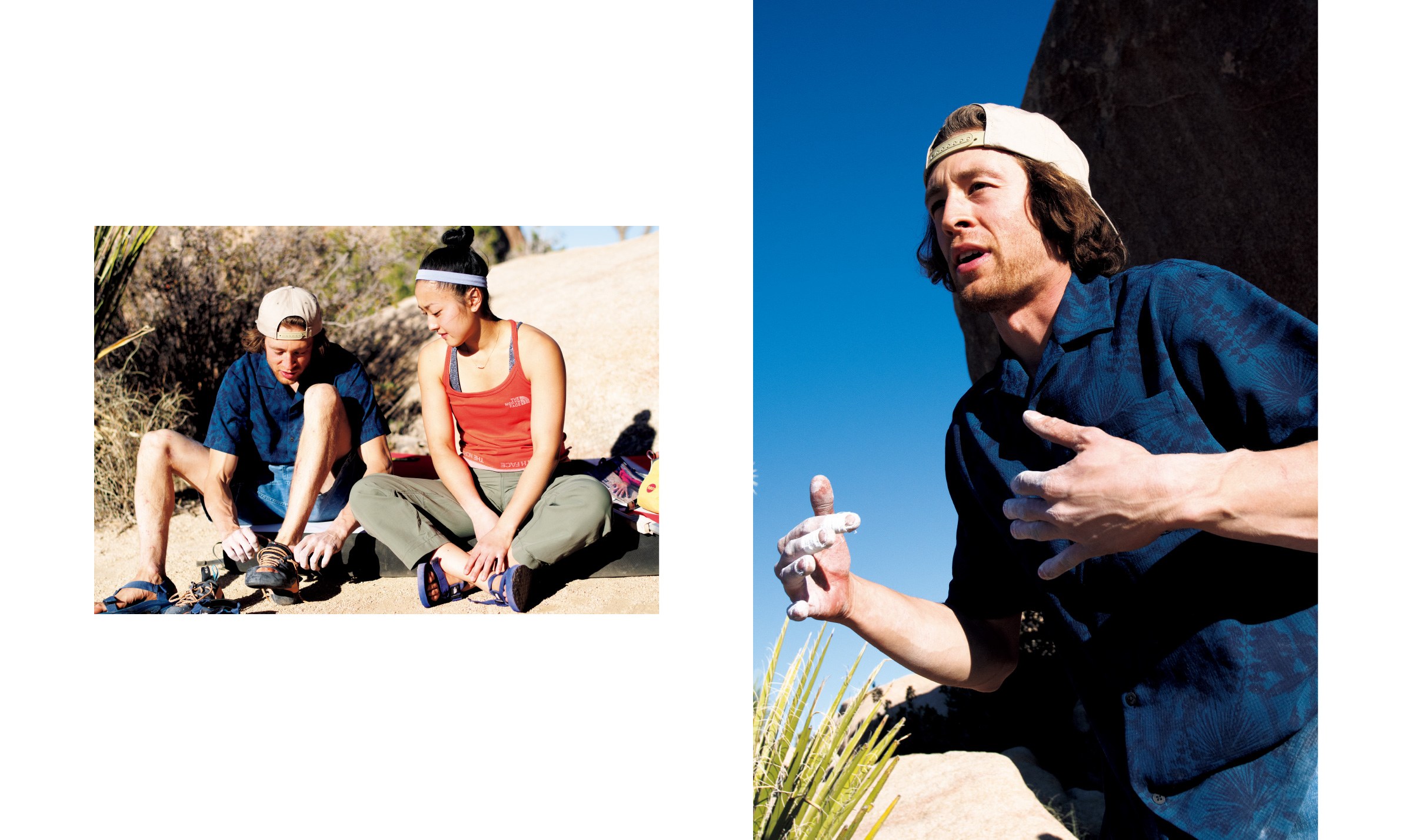 CLIMB ON JOSHUA TREE
