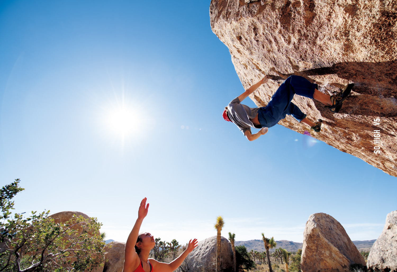 CLIMB ON JOSHUA TREE