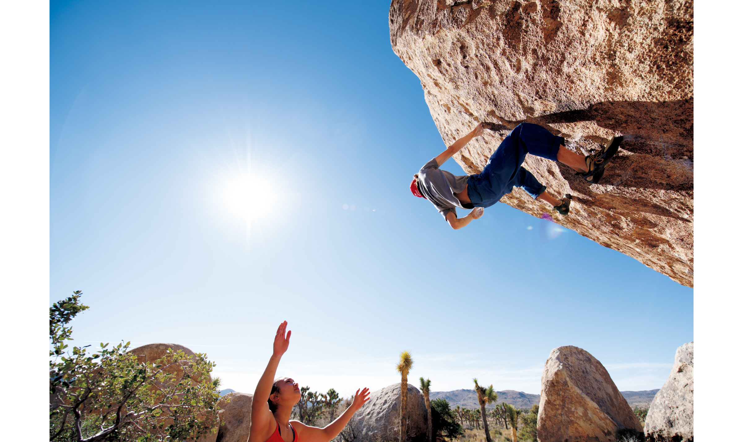 CLIMB ON JOSHUA TREE