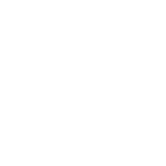 PURE ENDURANCE