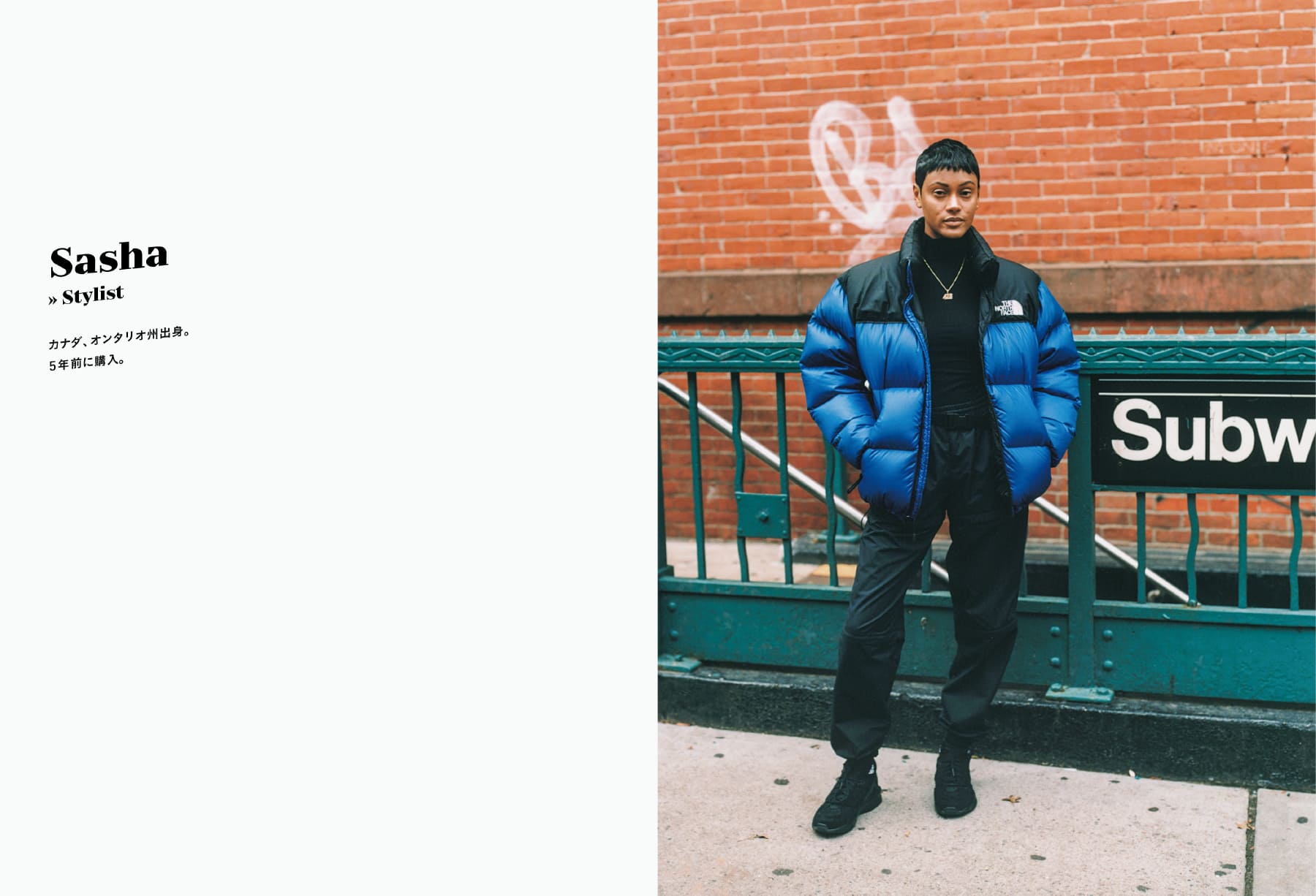 The Style Hunter Vol.1