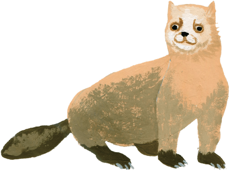 エゾクロテン