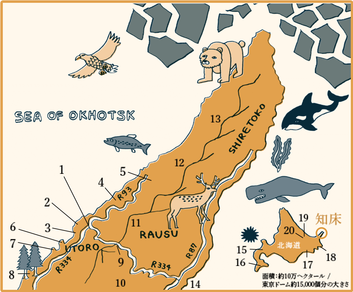 知床地図