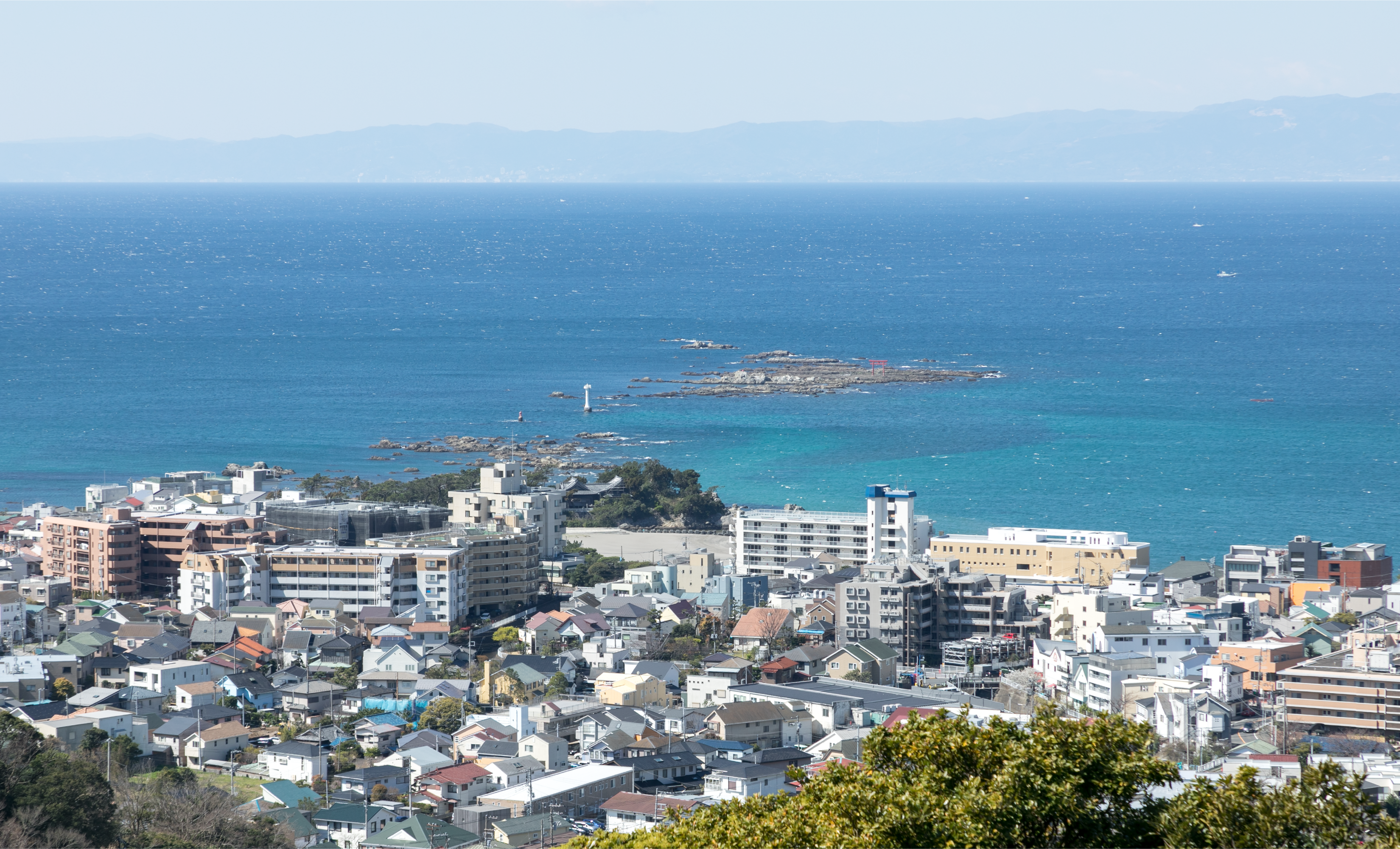 三浦半島 仙元山