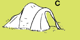 C