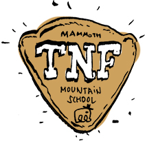tnf