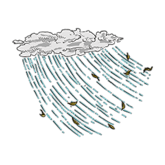 RAIN
