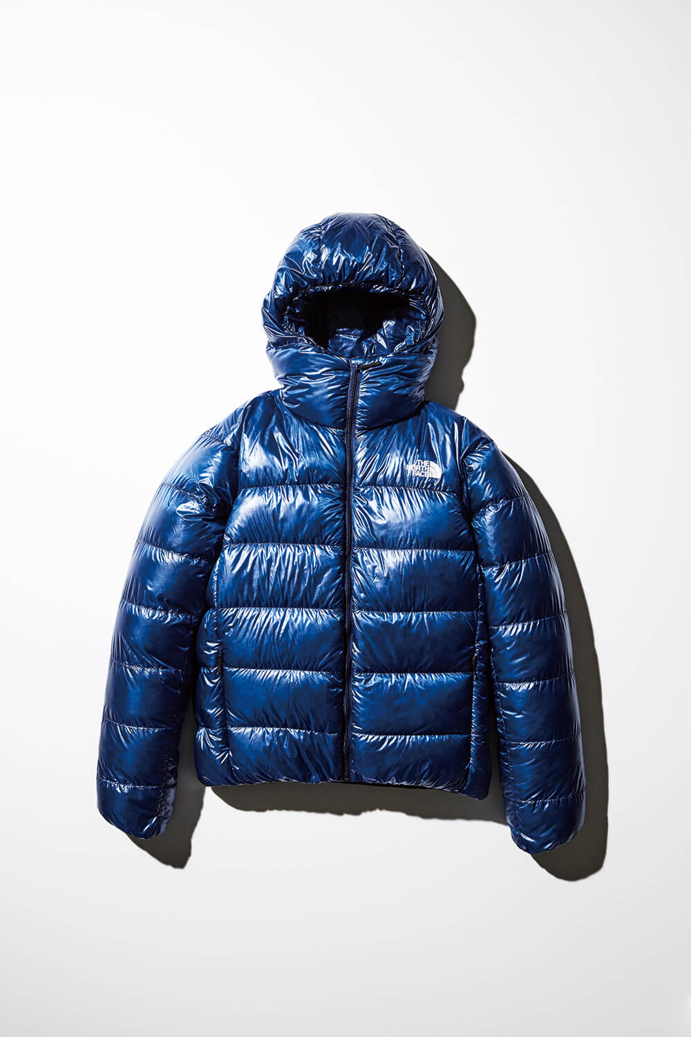 Alpine Nuptse Hoodie