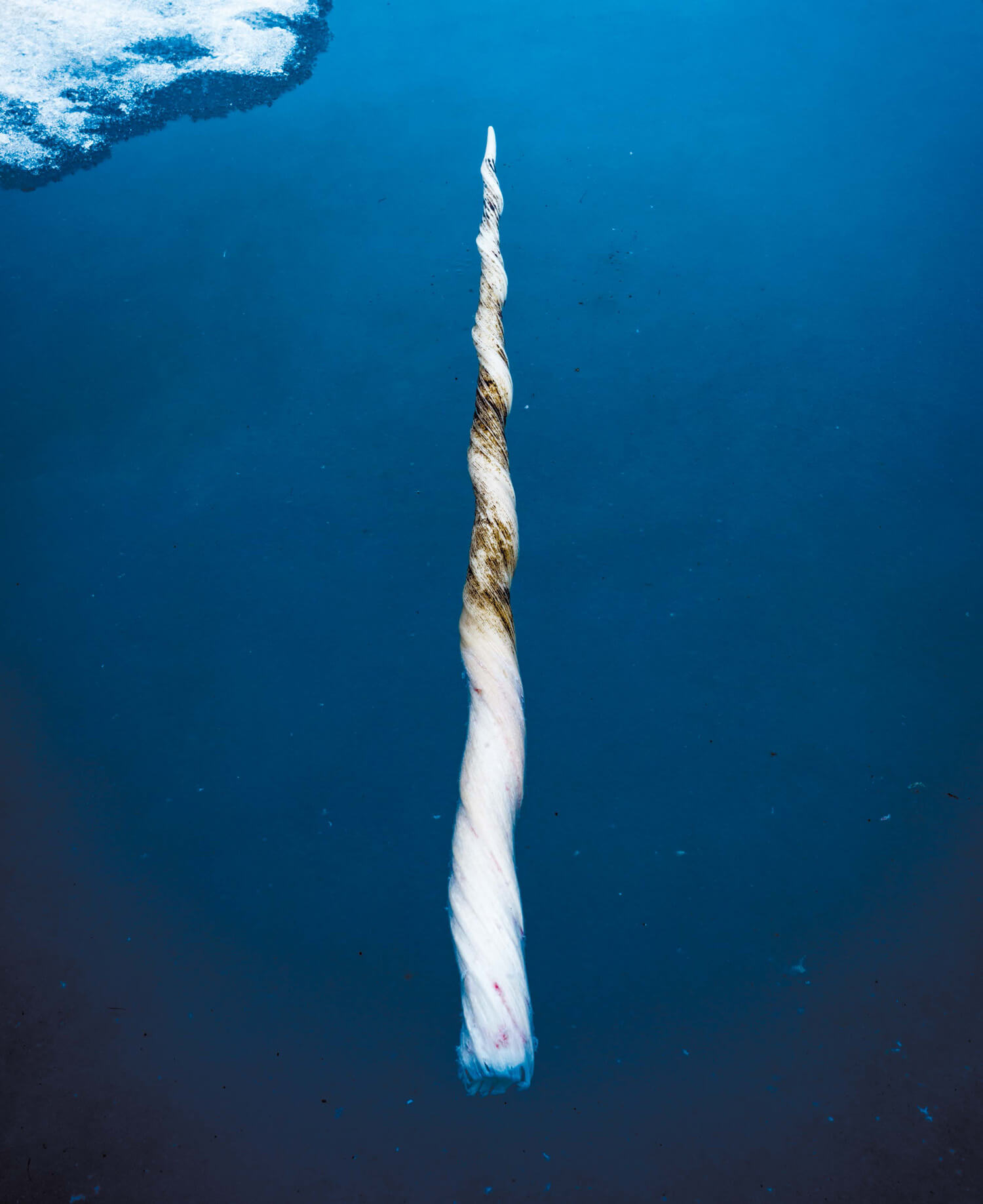 GREENLAND
