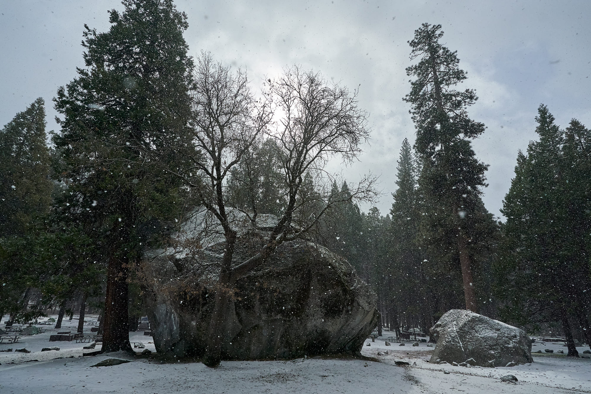 WINTER CAMP IN YOSEMITE