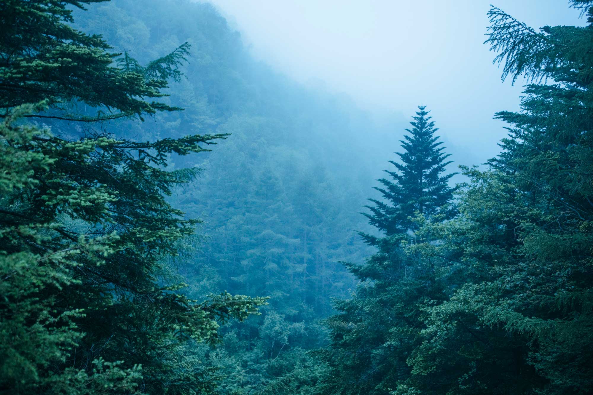 image02