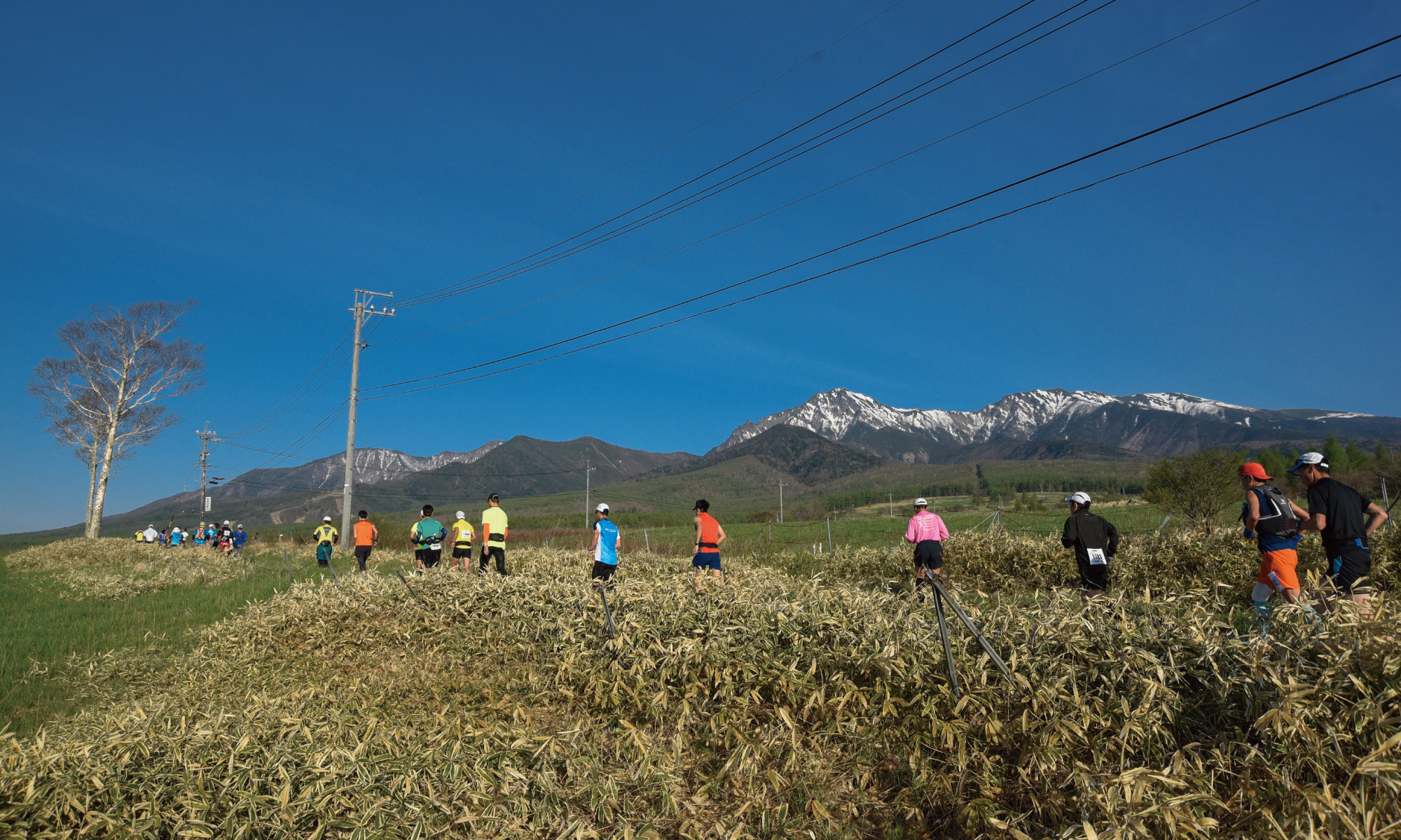 星の郷八ヶ岳野辺山高原100kmウルトラマラソン