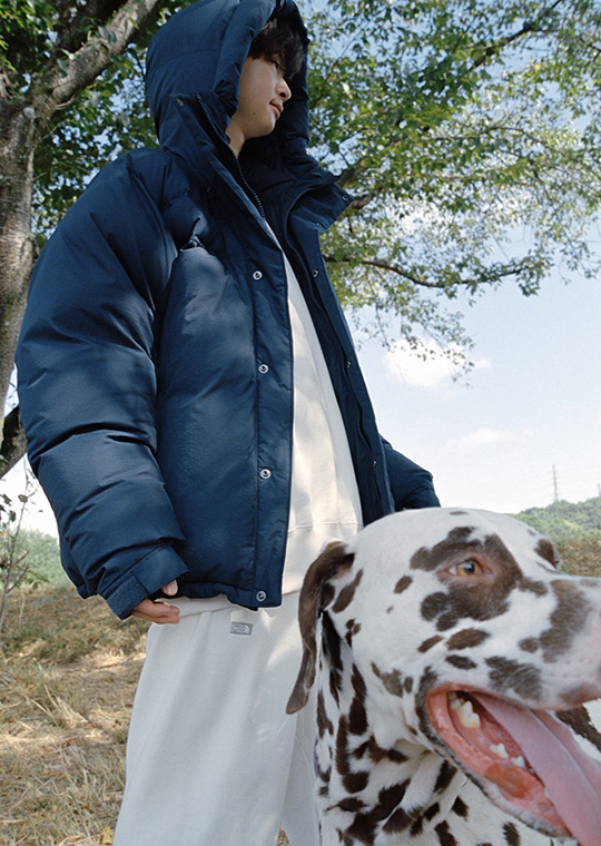 親愛なる探求者