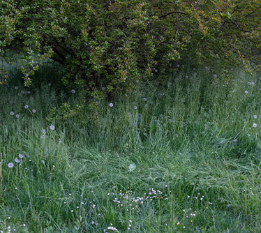 URBAN EXPLORATION 2024SS｜THE NORTH FACE