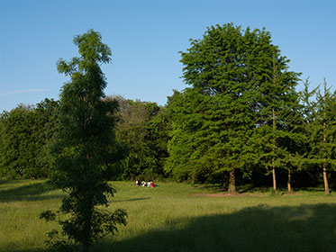 URBAN EXPLORATION 2024SS｜THE NORTH FACE