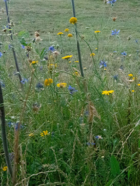 URBAN EXPLORATION 2024SS｜THE NORTH FACE