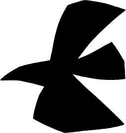 Letter from THE NORTH FACE