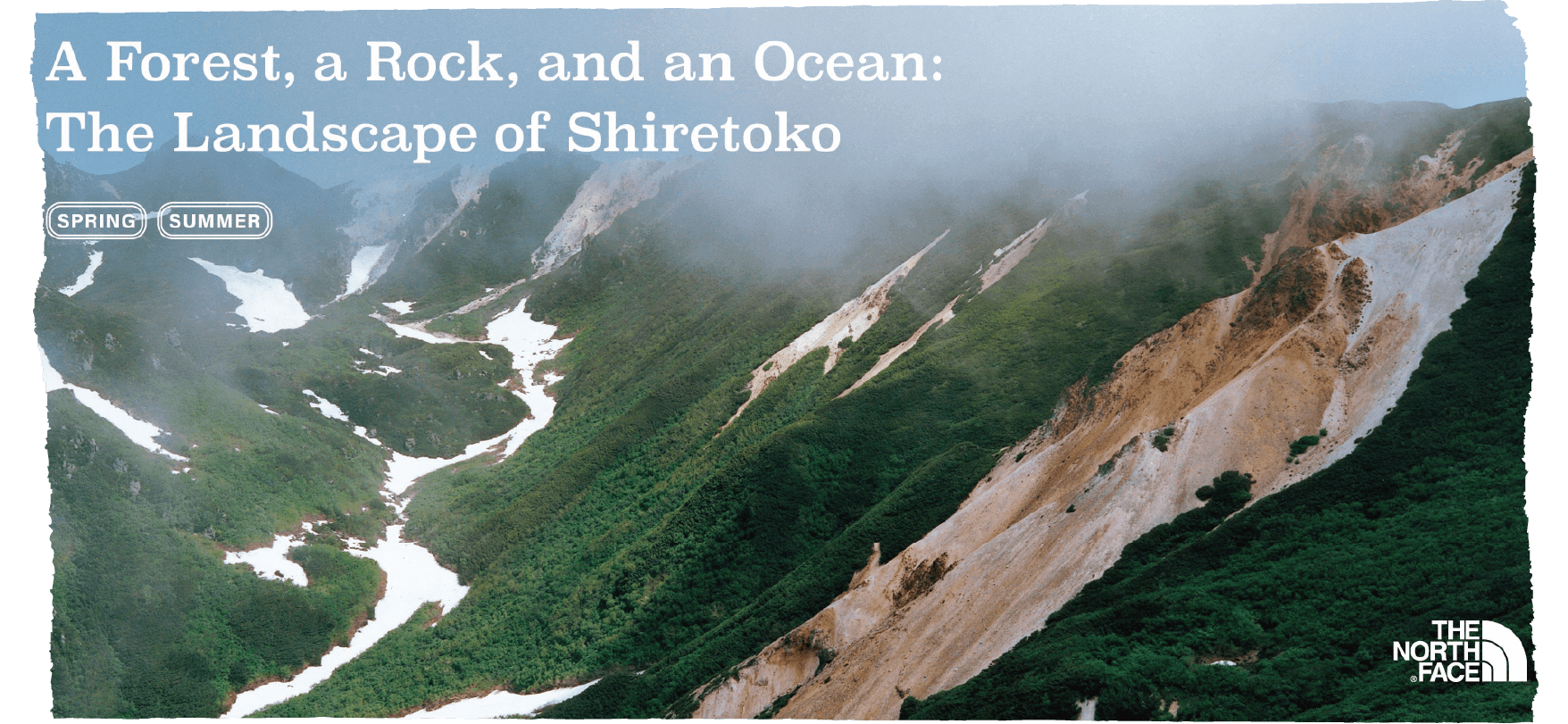 Forest, a Rock, and an Ocean: The Landscape of Shiretoko 2019 SS