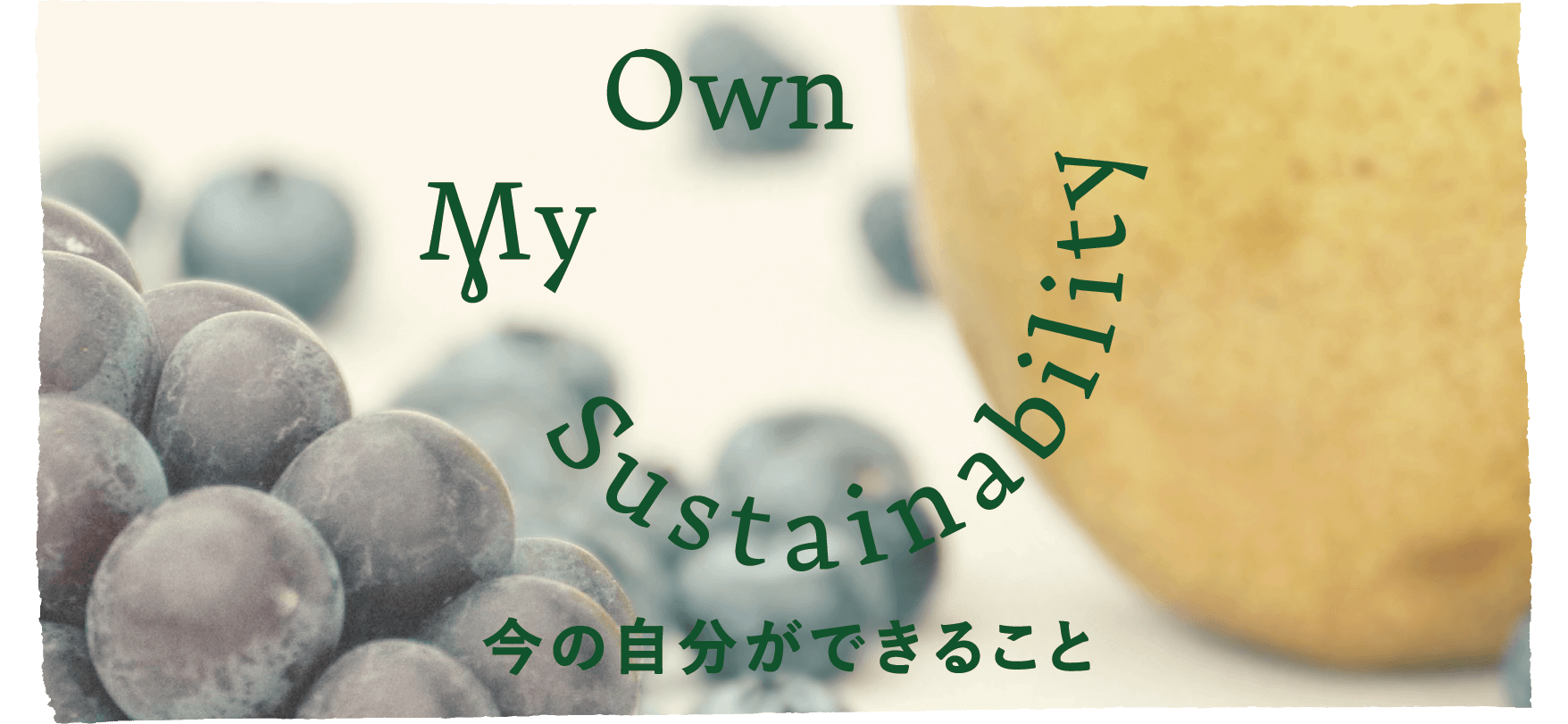 My Own Sustainability