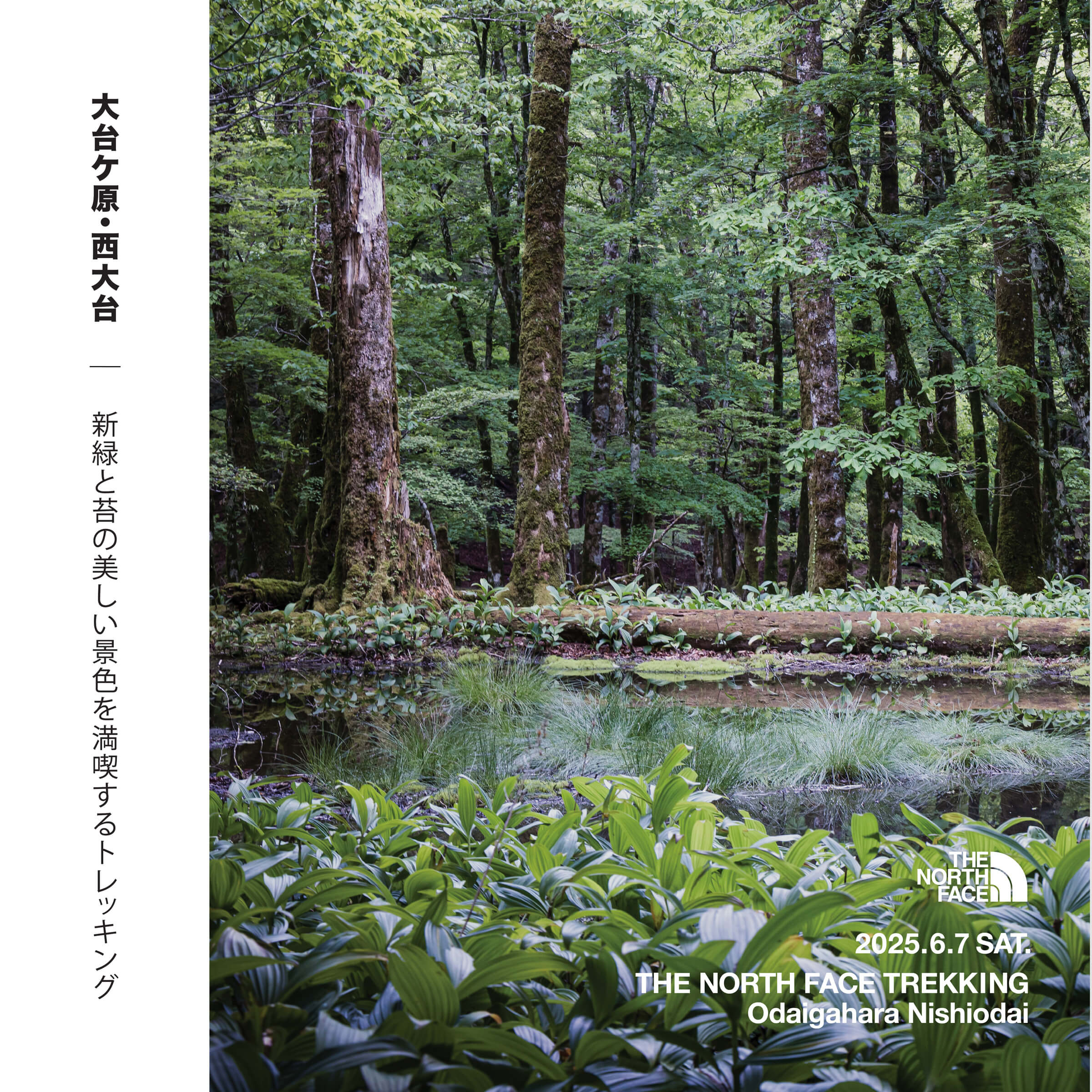 THE NORTH FACE TREKKING Odaigahara Nishiodai