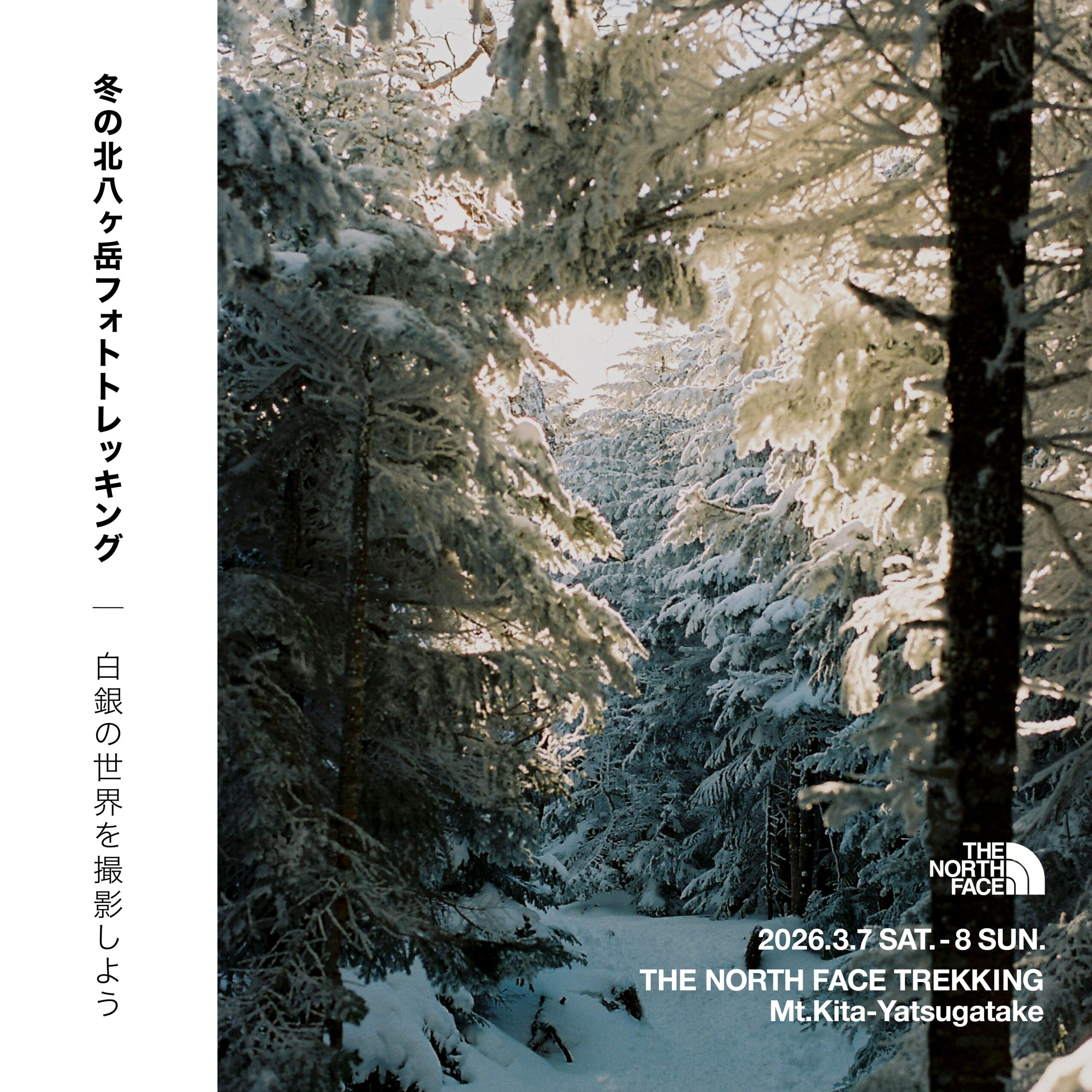 THE NORTH FACE TREKKING 北八ヶ岳