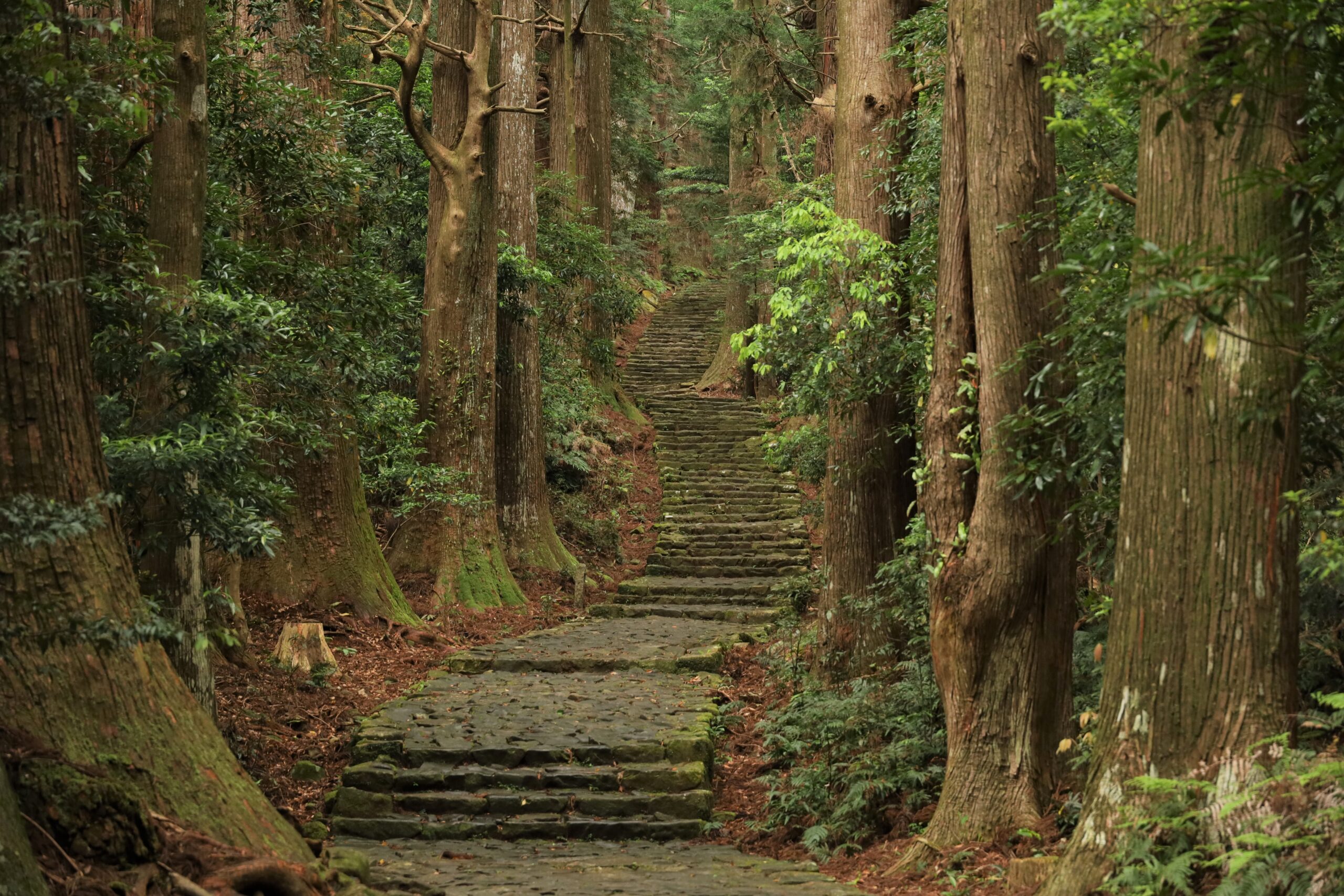 熊野古道中辺路の大門坂