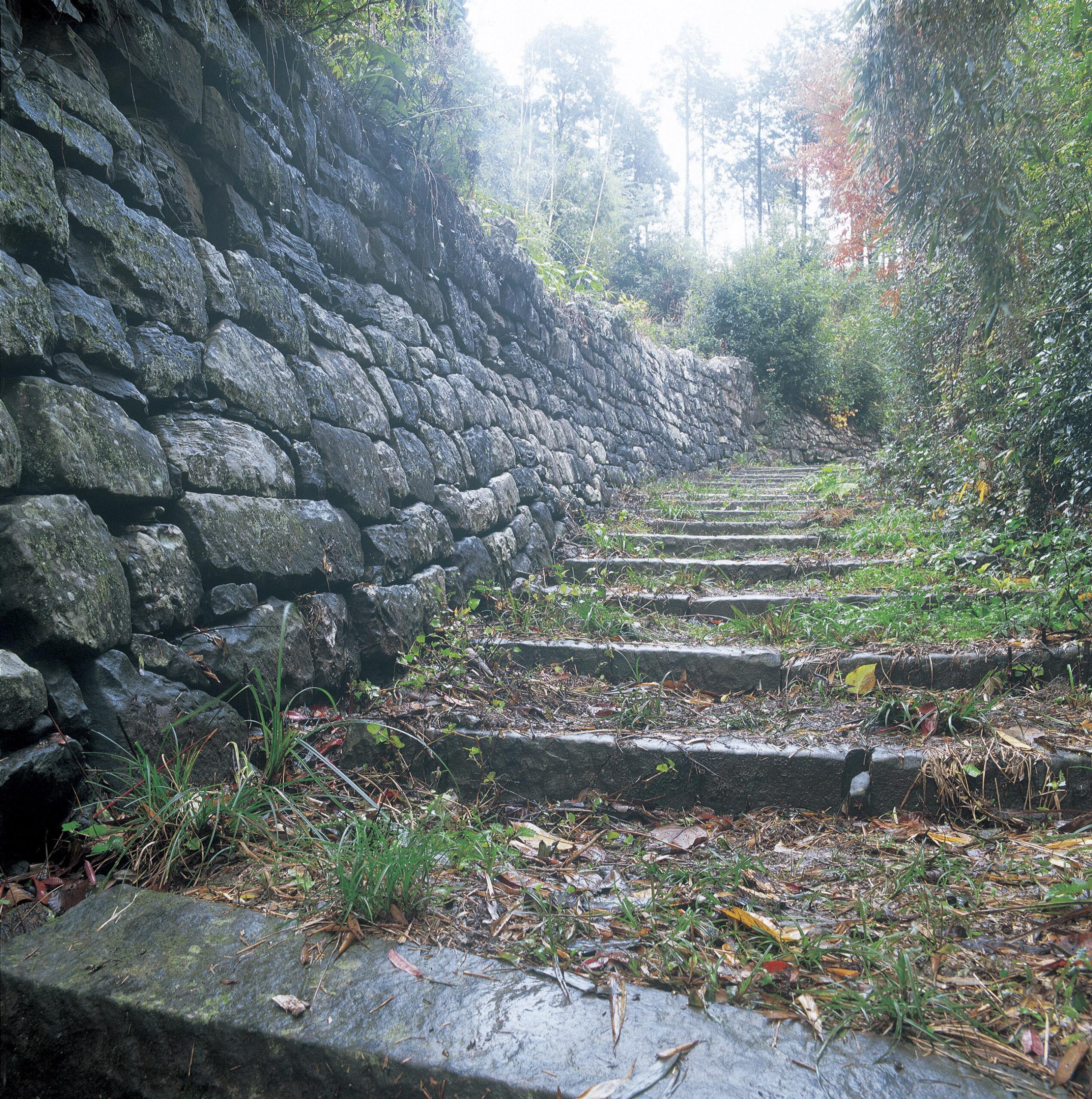 熊野古道大辺路の富田坂